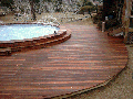 iris pool 80.gif
